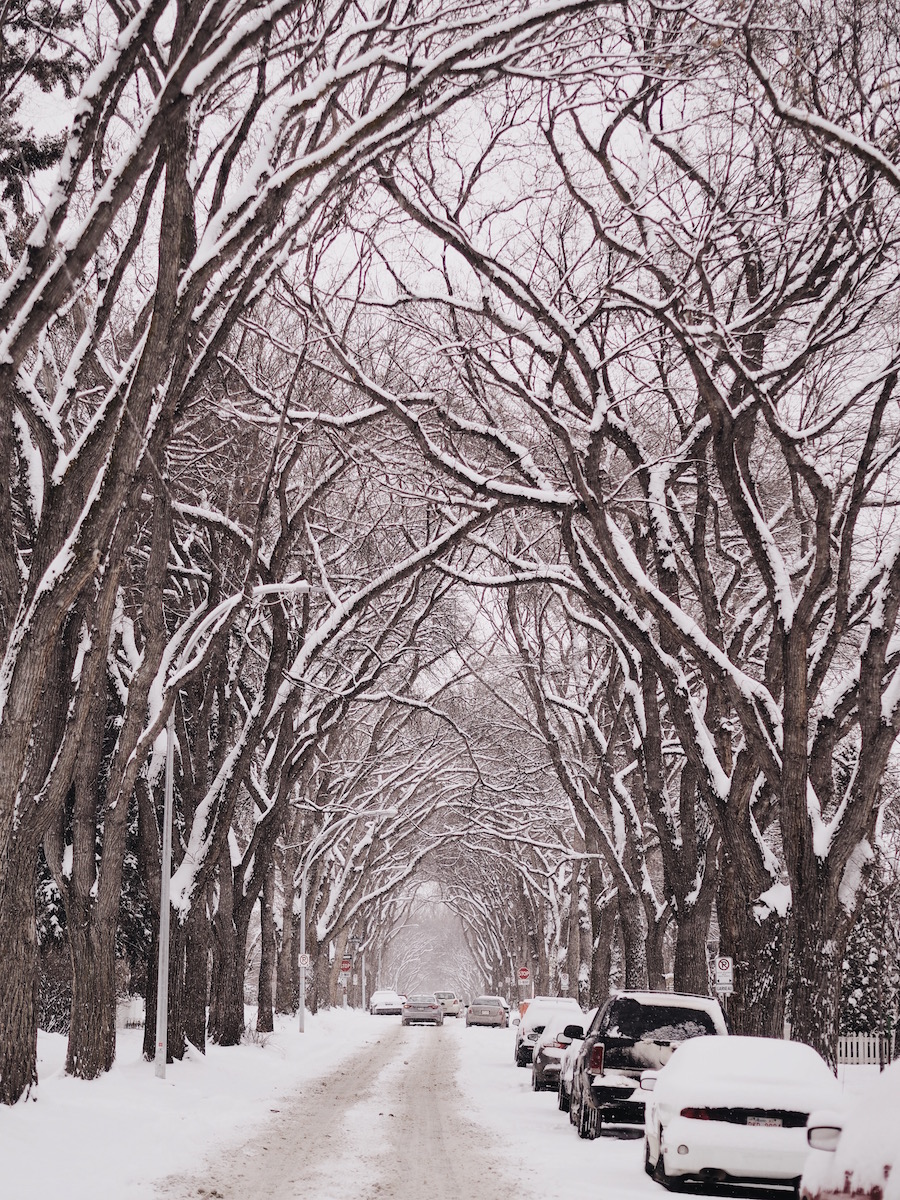 yeg seasons snowy street view