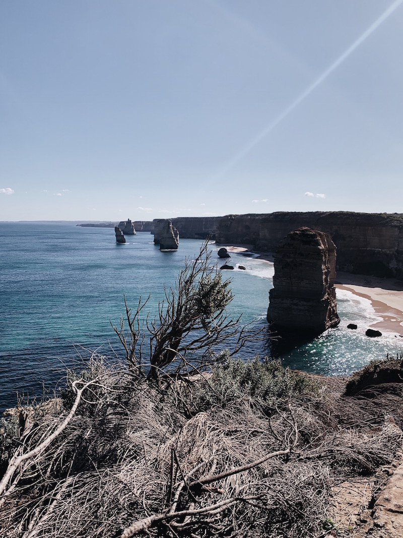 what to do in melbourne, what to do on the great ocean road, where to eat in melbourne, where to eat in anglesea